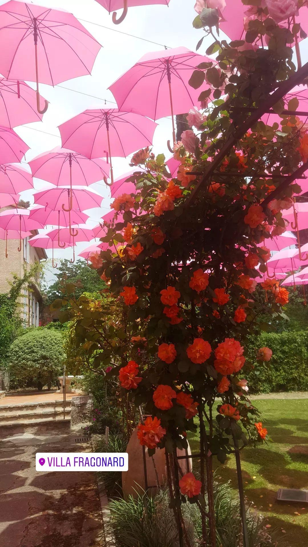 Fête de la rose Grasse